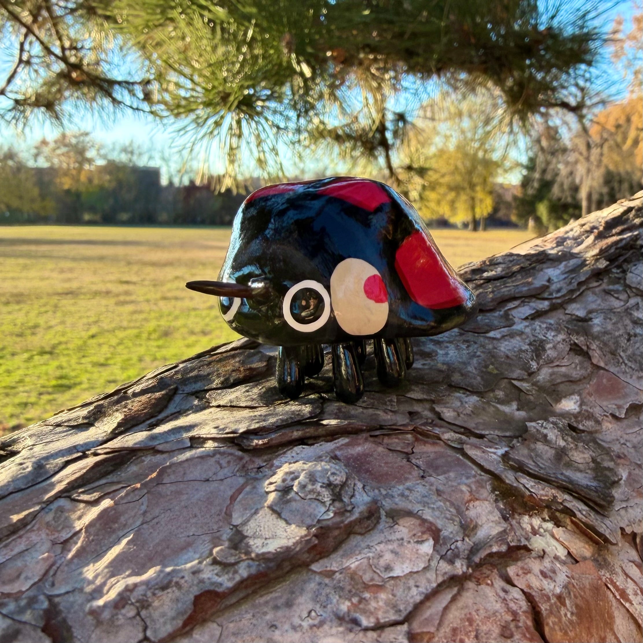 Aiolocaria hexaspilota Sculpture