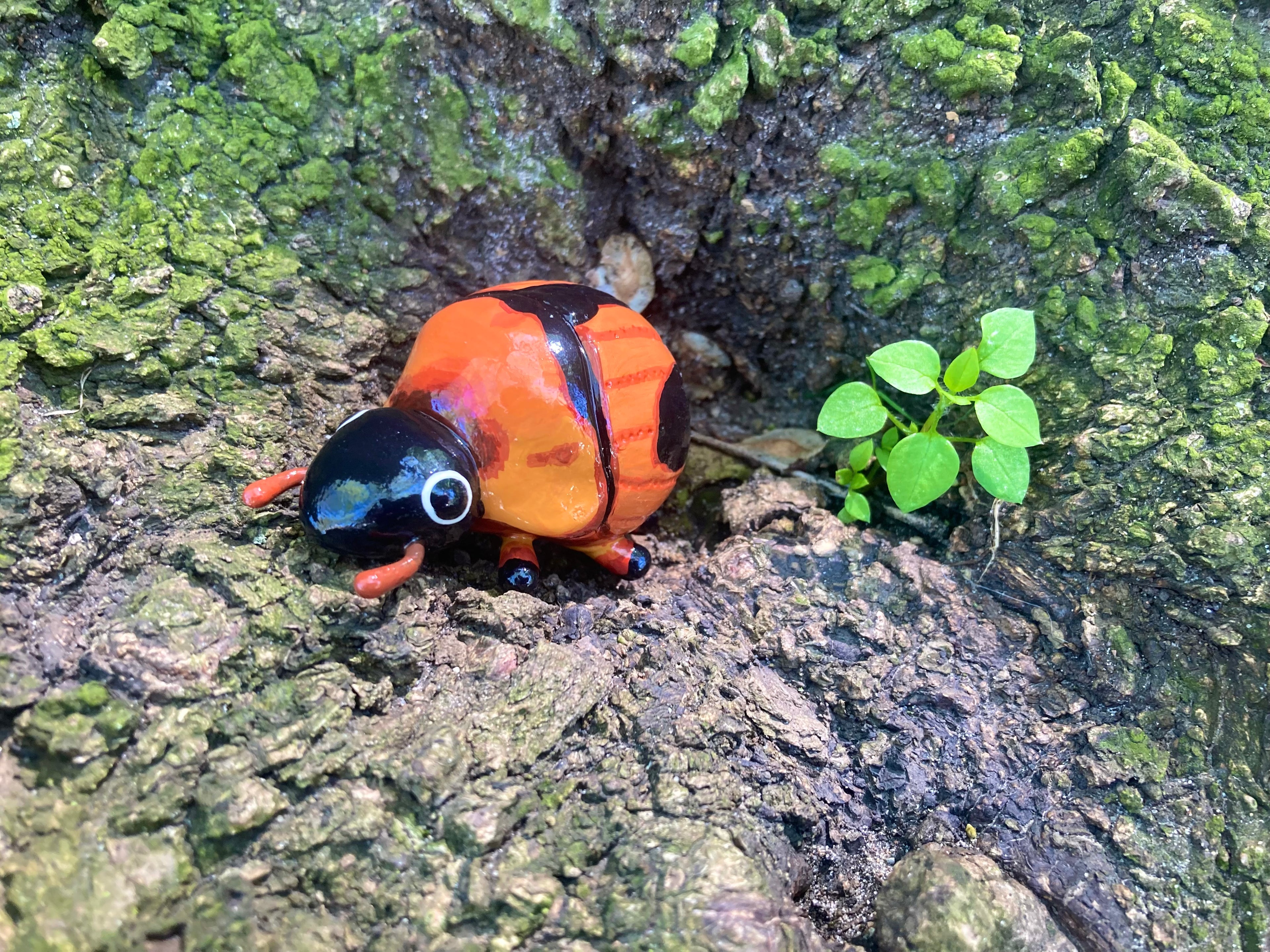 Bolbocerosoma confusum Sculputure