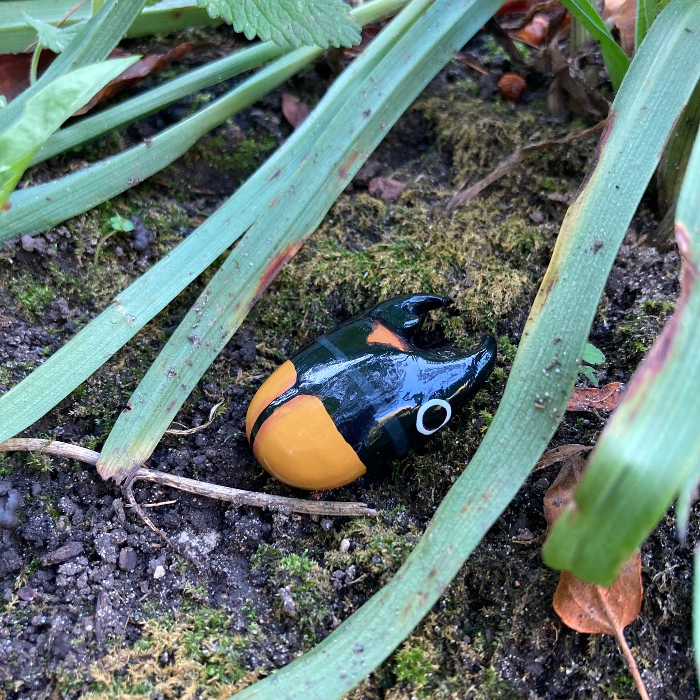 Odontolabis spectabilis Magnet