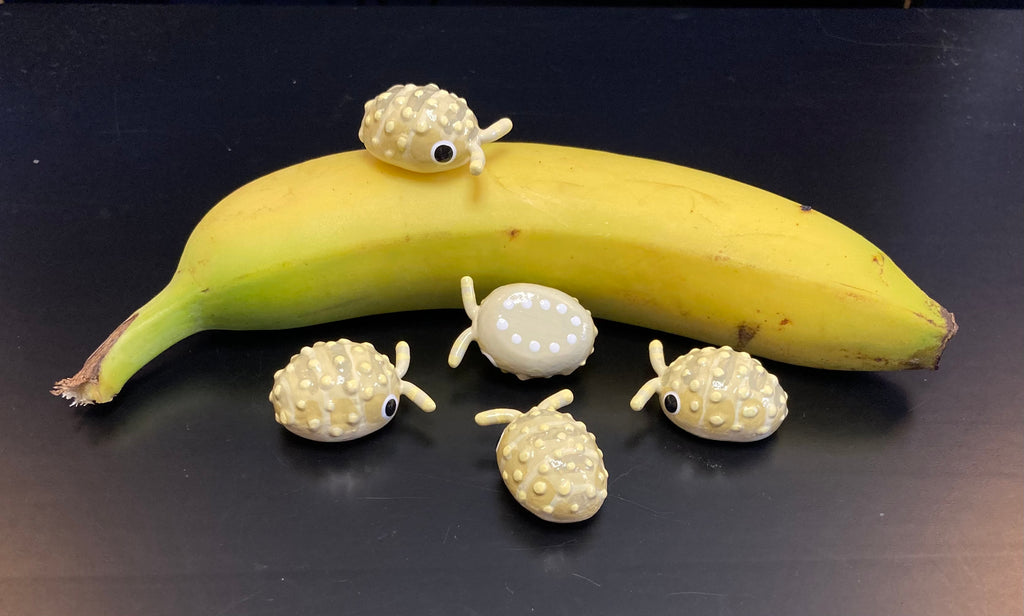 Cristarmadillidium muricatum "Pineapple Spiky" Isopod Mini Sculpture