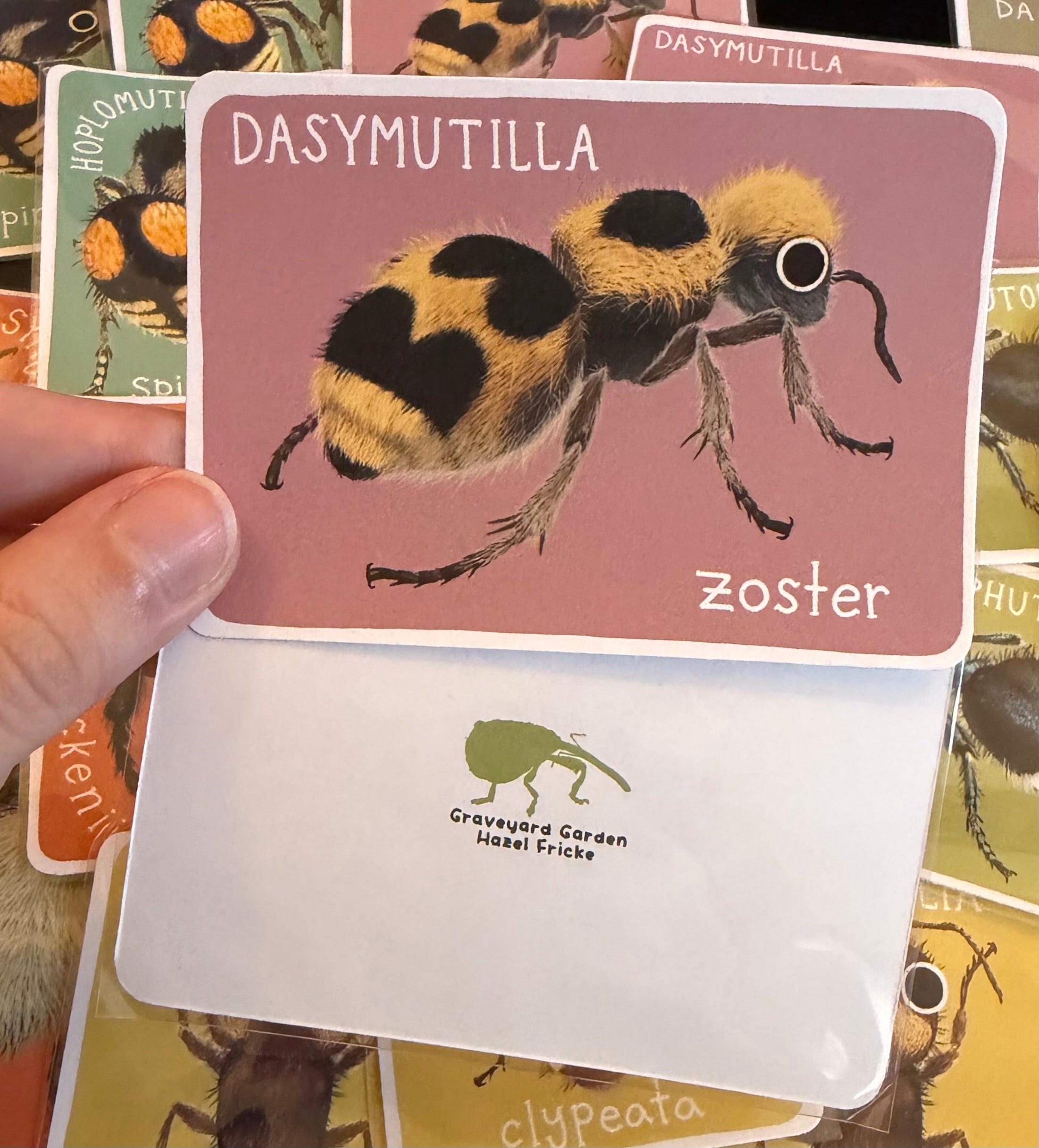 Mutillidae Mini Prints