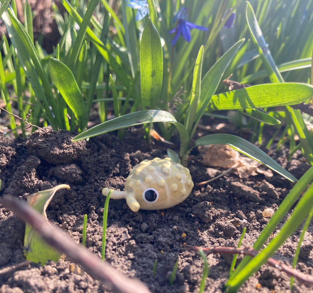 Cristarmadillidium muricatum "Pineapple Spiky" Isopod Mini Sculpture
