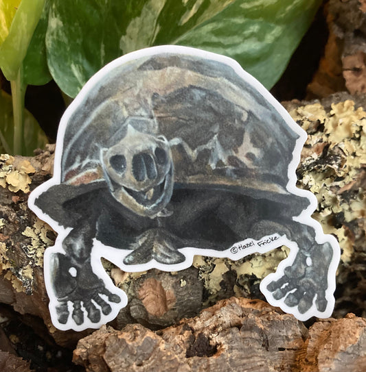 Megalochelys atlas Tortoise Fossil Sticker