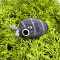Cubaris murina "Little Sea" Isopod Mini Sculpture v2.0