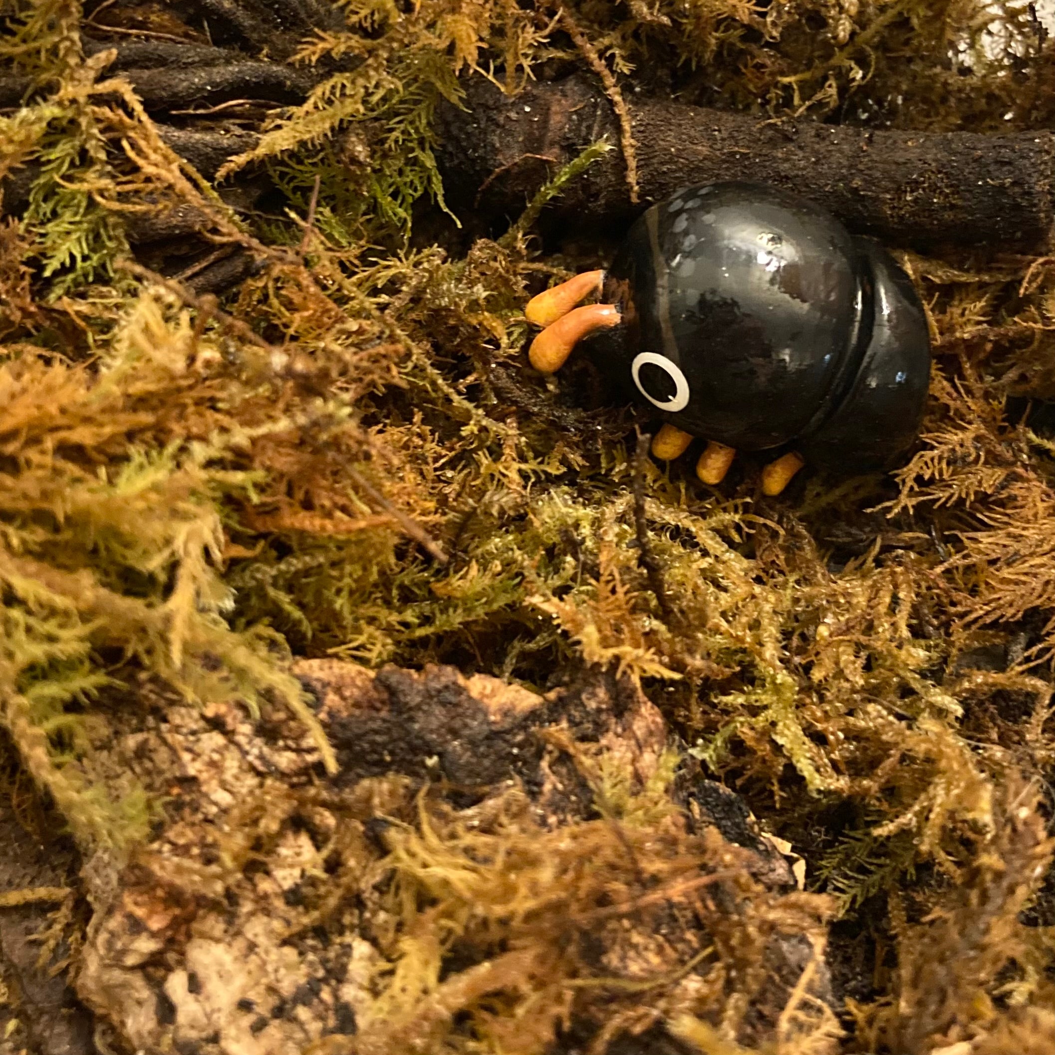 Cnestus mutilatus Sculpture