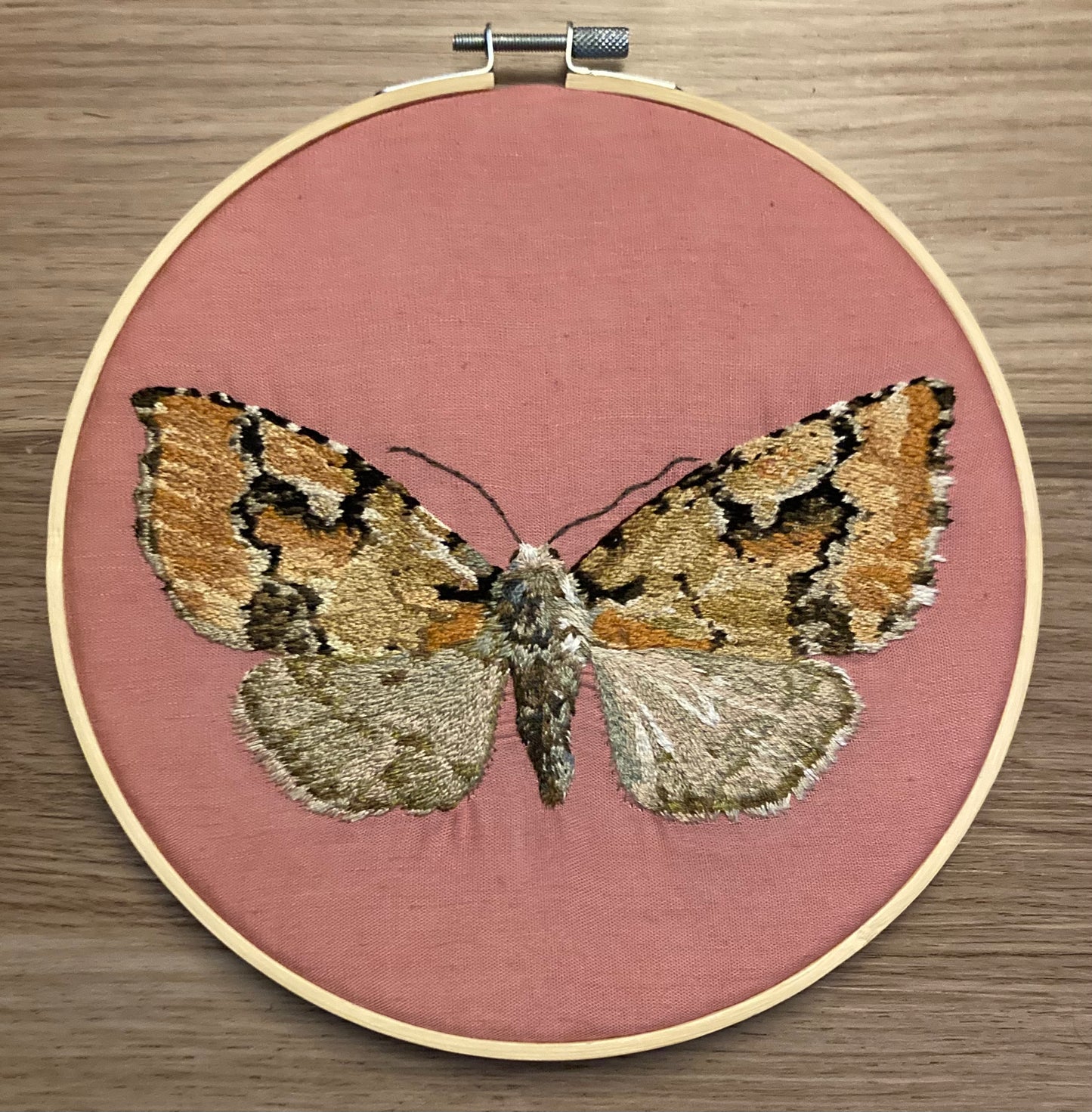 Emarginea percara Moth Embroidery