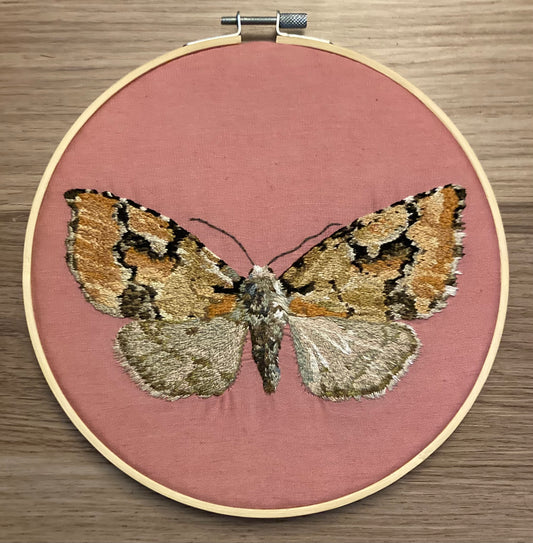 Emarginea percara Moth Embroidery