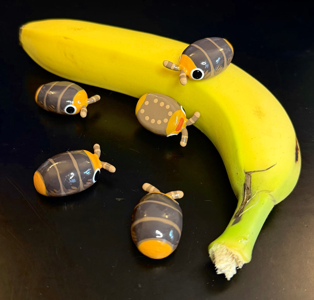 Cubaris sp. "Rubber Ducky" Isopod Mini Sculpture v2.0