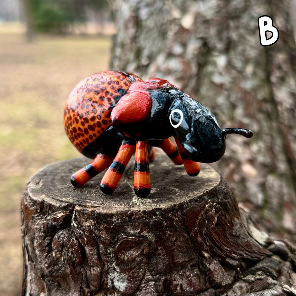 Brachycerus obesus "Obese Lily Weevil" Sculpture B-Grade