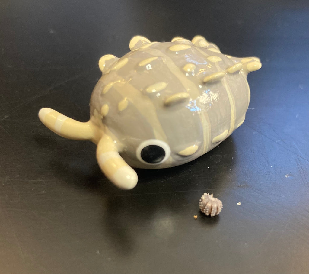 Reductoniscus tuberculatus "Dwarf Gator" Isopod Mini Sculpture