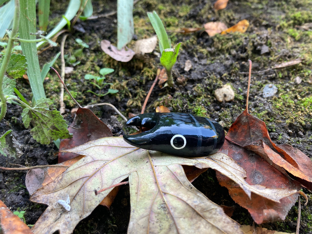 Serrognathus bucephalus Magnet