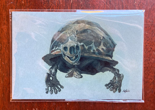 PRINT Megalochelys atlas Illustration