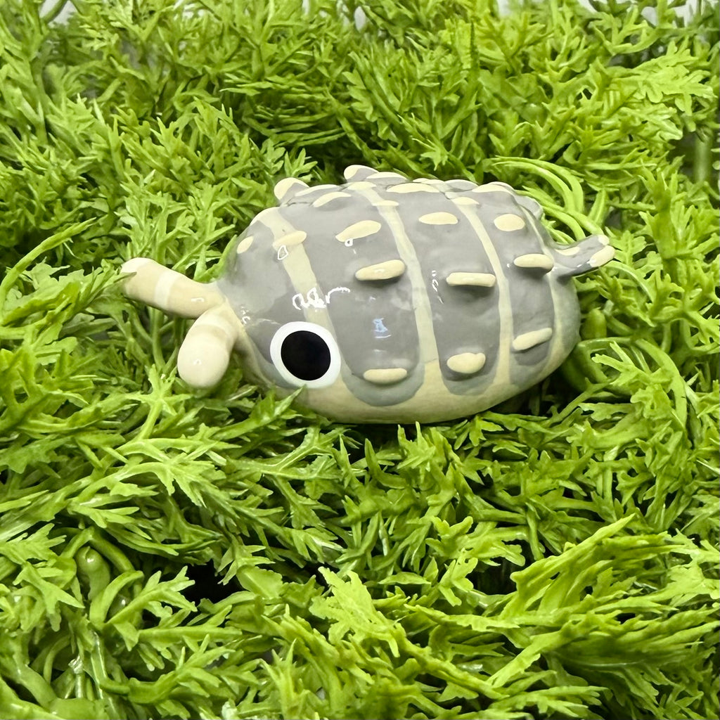 Reductoniscus tuberculatus "Dwarf Gator" Isopod Mini Sculpture