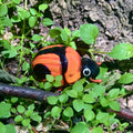 Bolbocerosoma confusum Sculputure