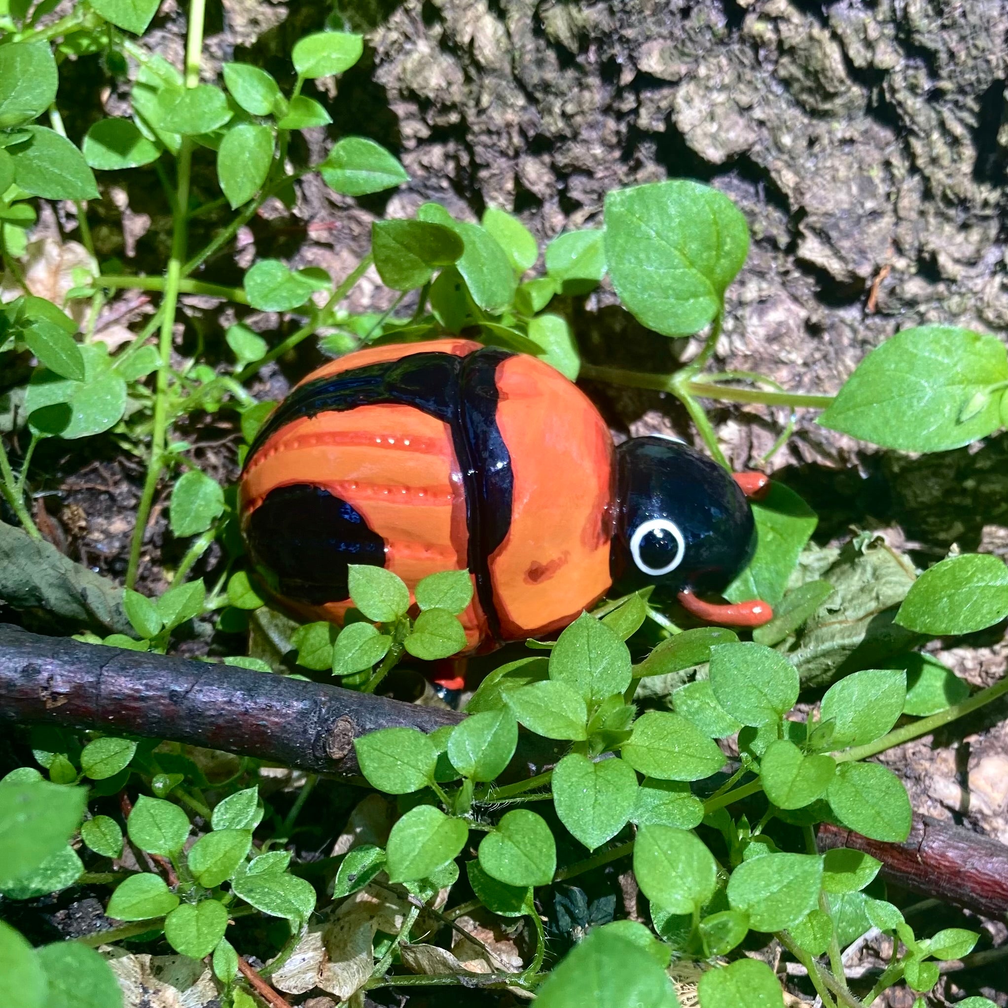 Bolbocerosoma confusum Sculputure
