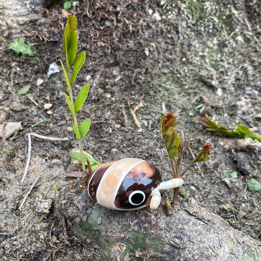 Cubaris sp. "Cappuccino" Isopod Mini Sculpture