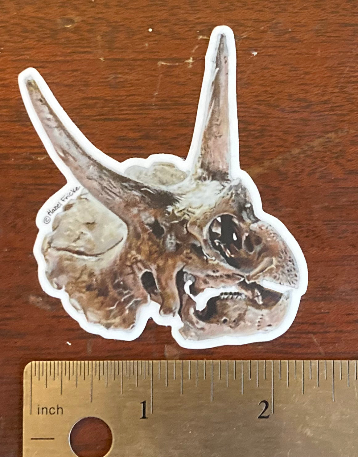 Triceratops Skull Sticker