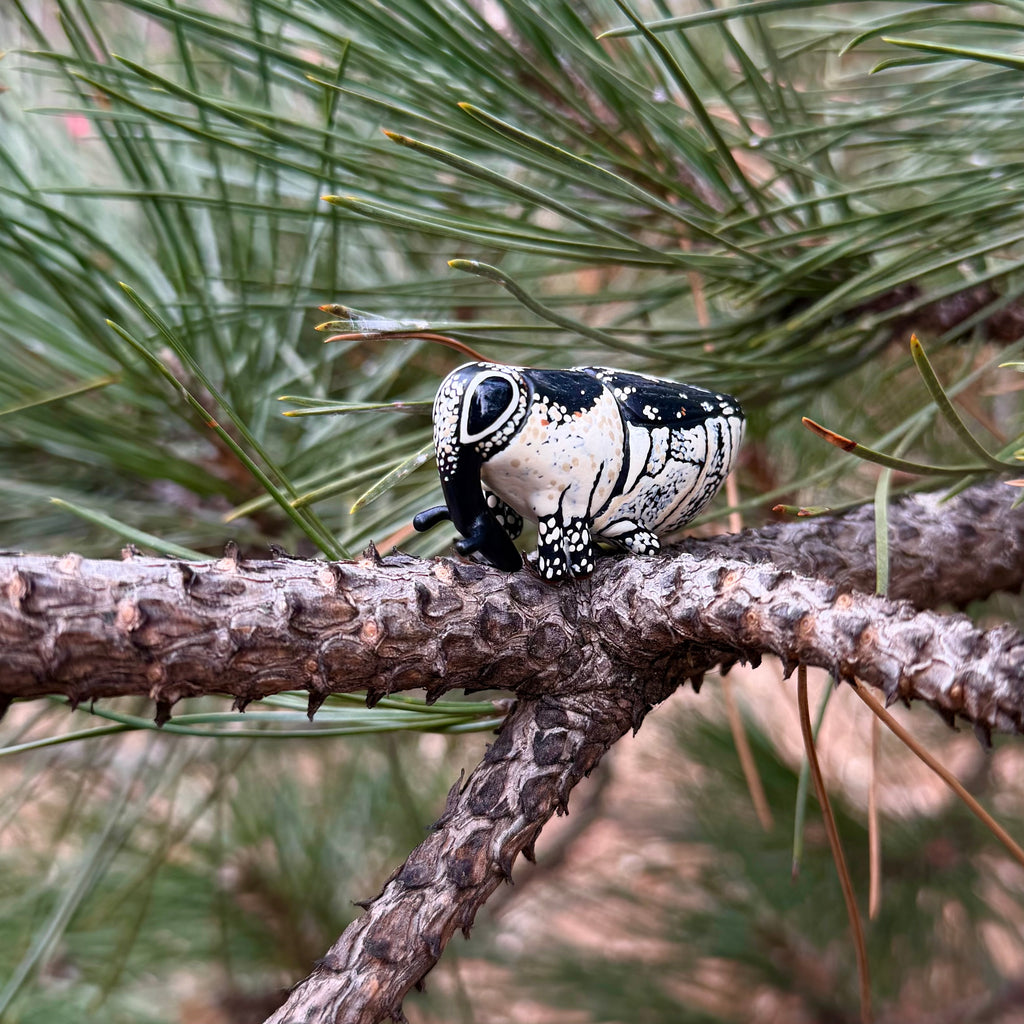 Cylindrocopturus quercus Sculpture