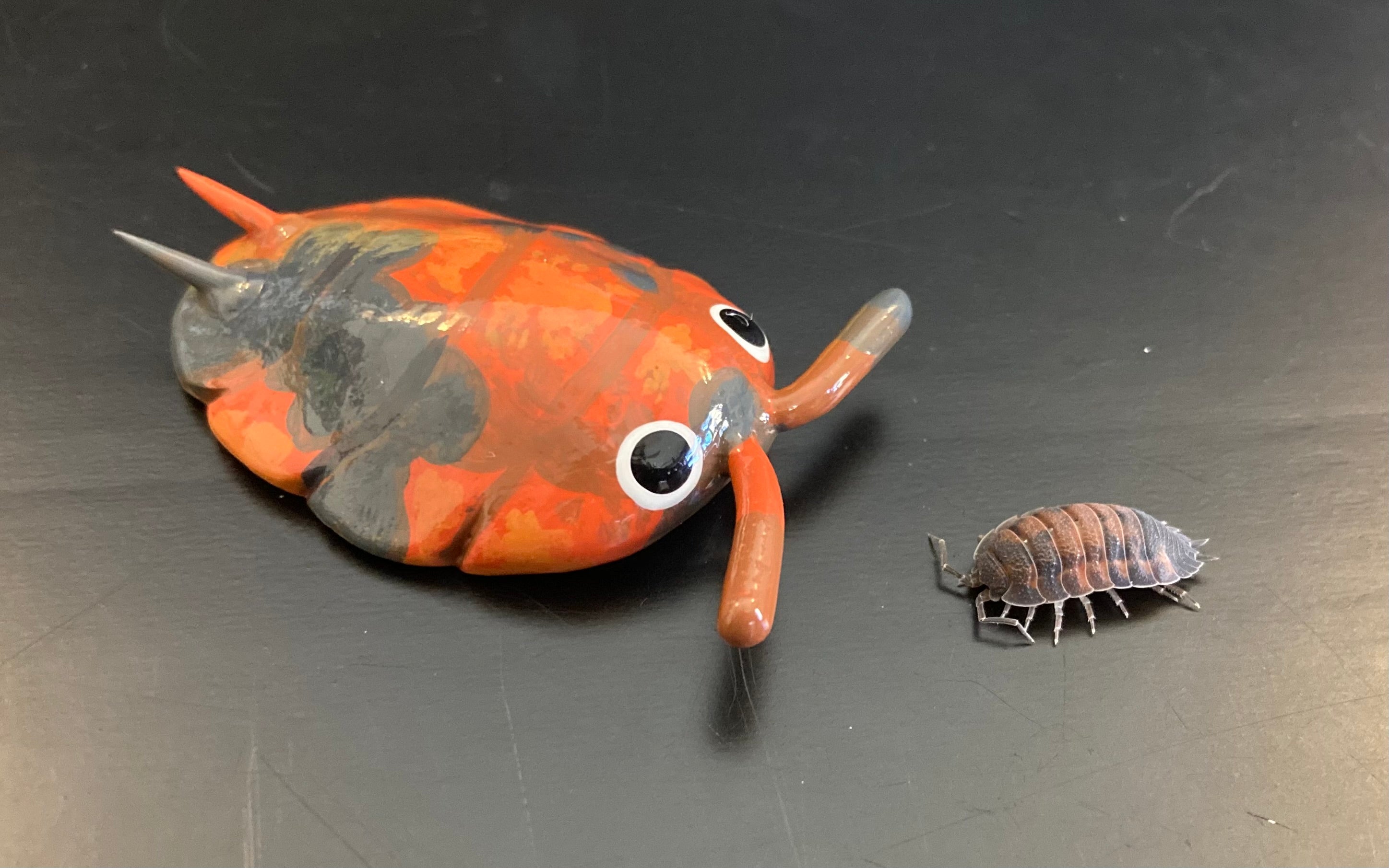 Porcellio scaber "Lava" Isopod Mini Sculpture