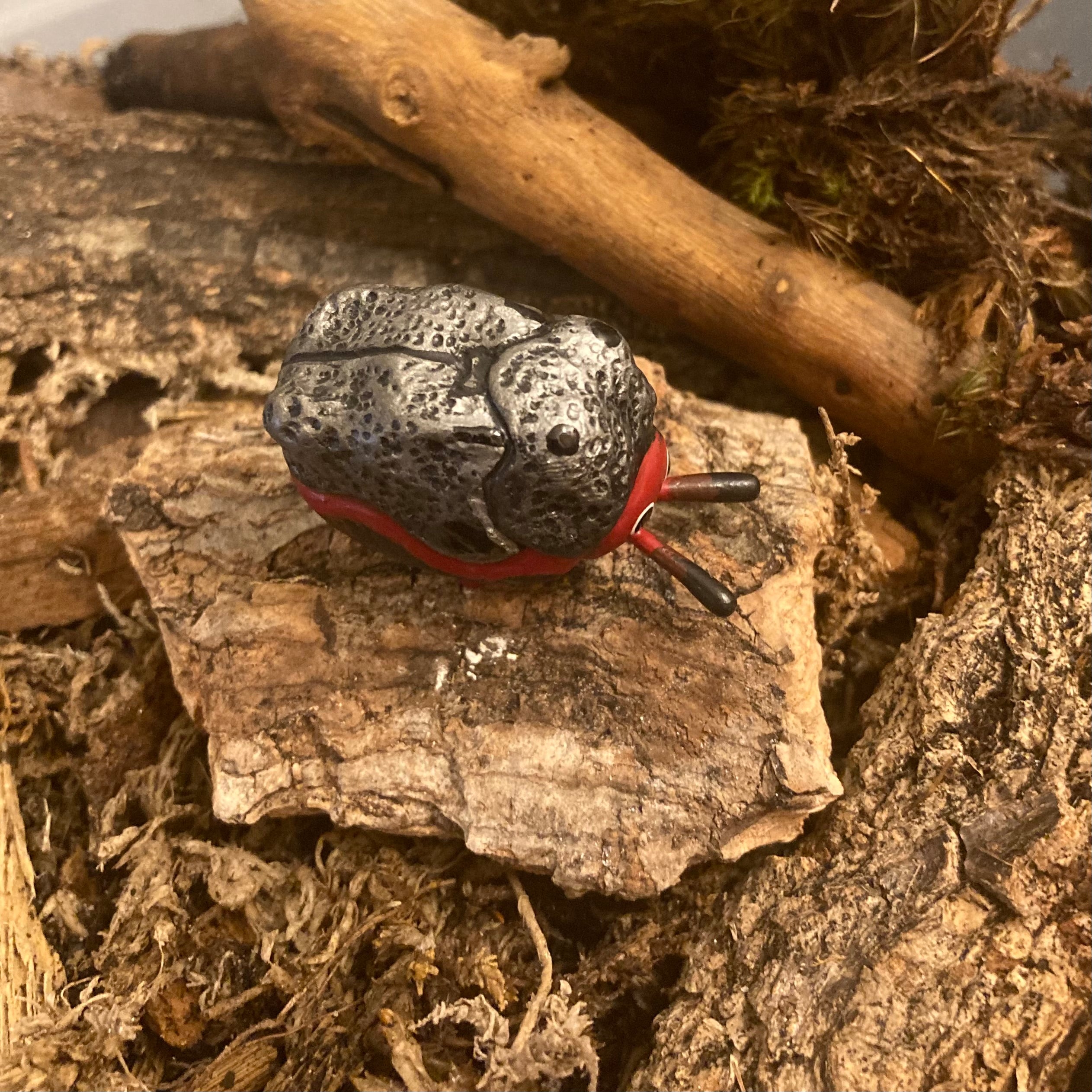 Chlamisus maculipes Sculpture