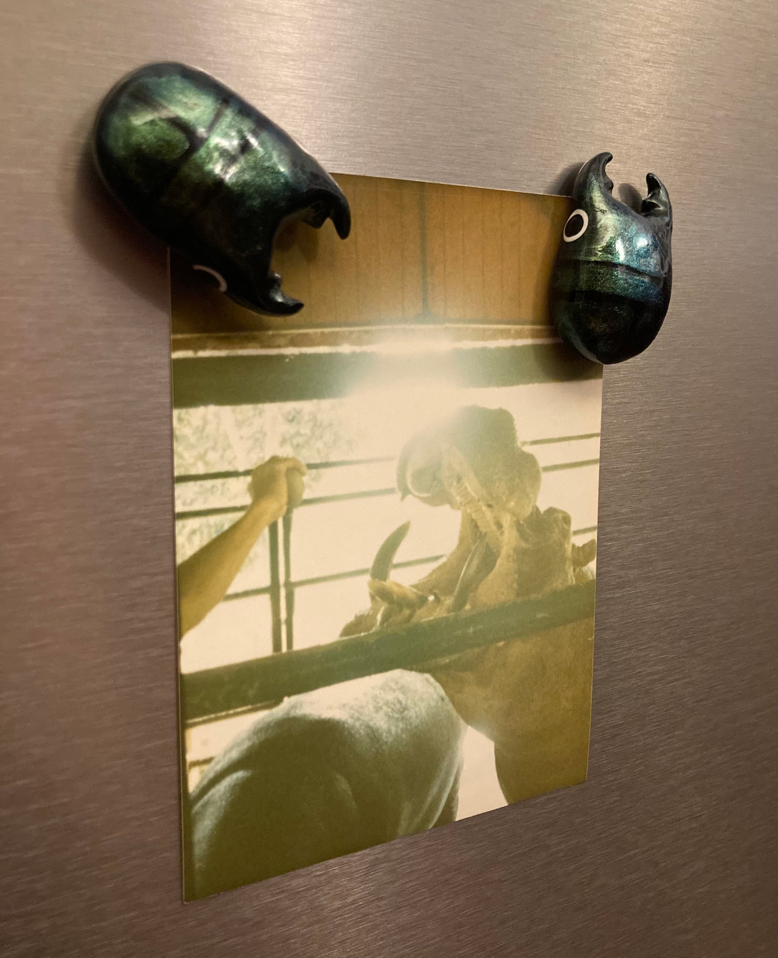 Platycerus caprea Magnet