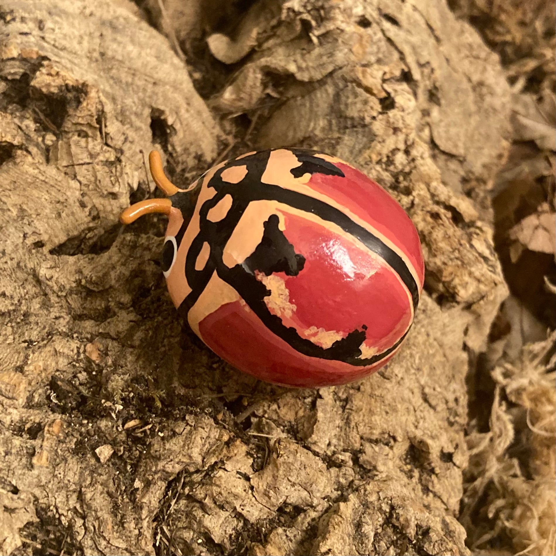 Cheilomenes bidentata Sculpture