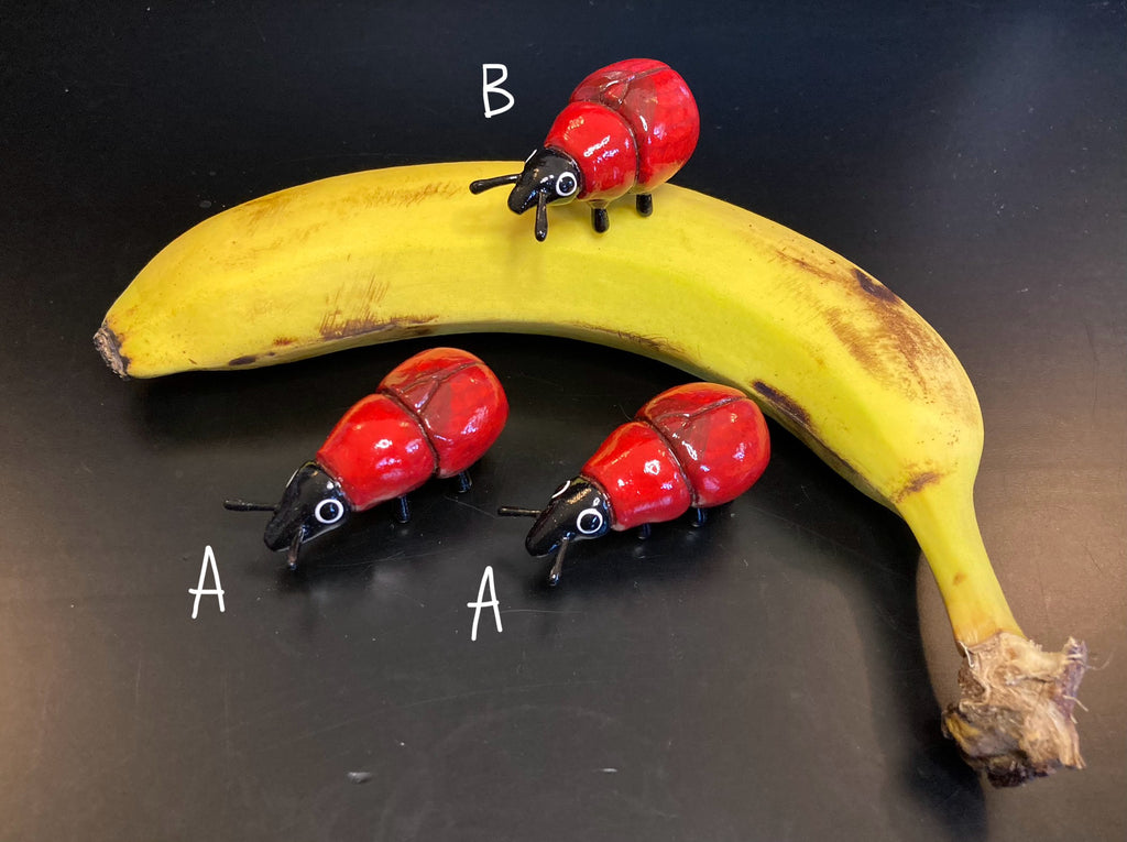 Homoeolabus analis "Oak Leaf Rolling Weevil" Sculpture (elongated)