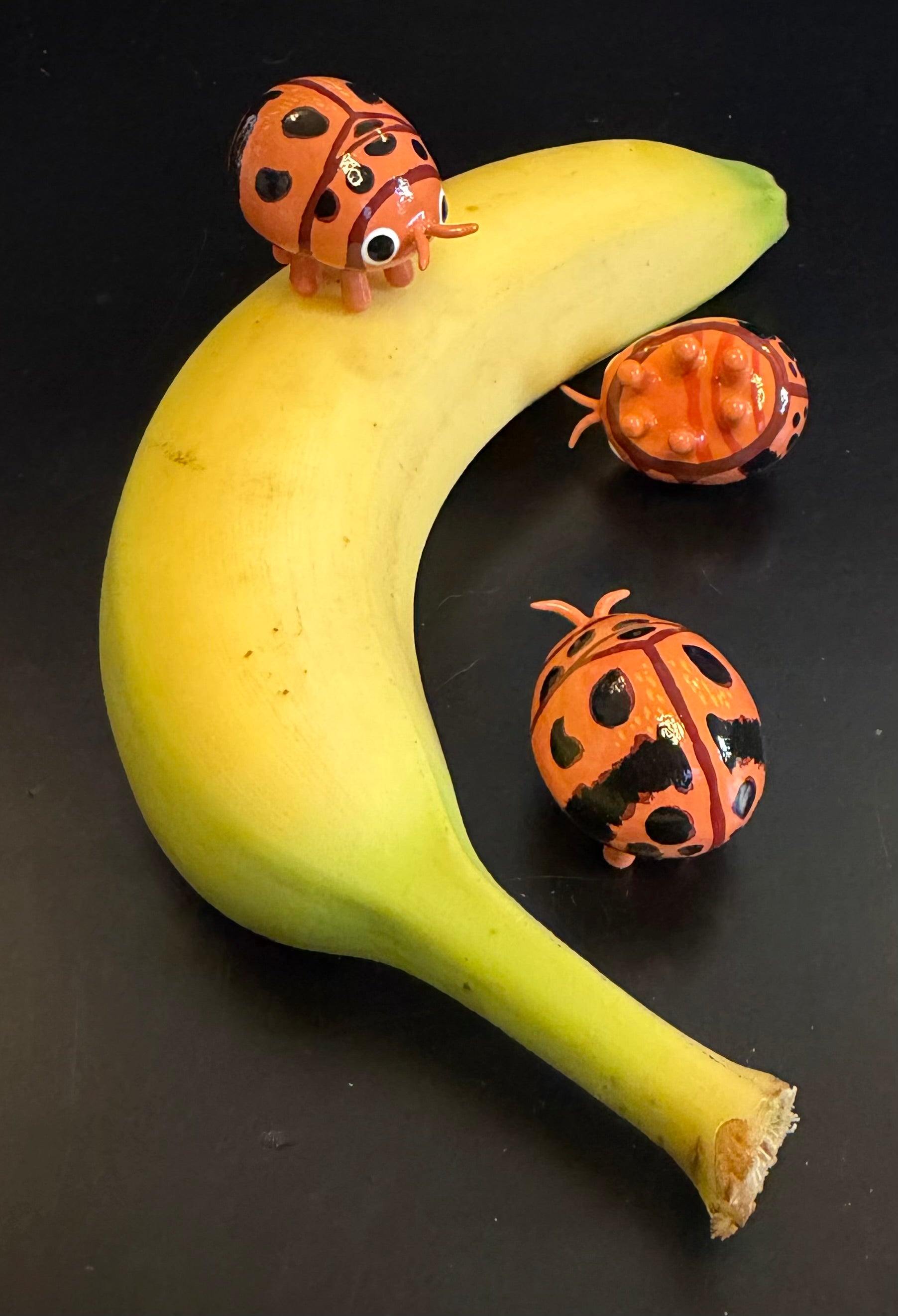 Psyllobora dissimilis Sculpture