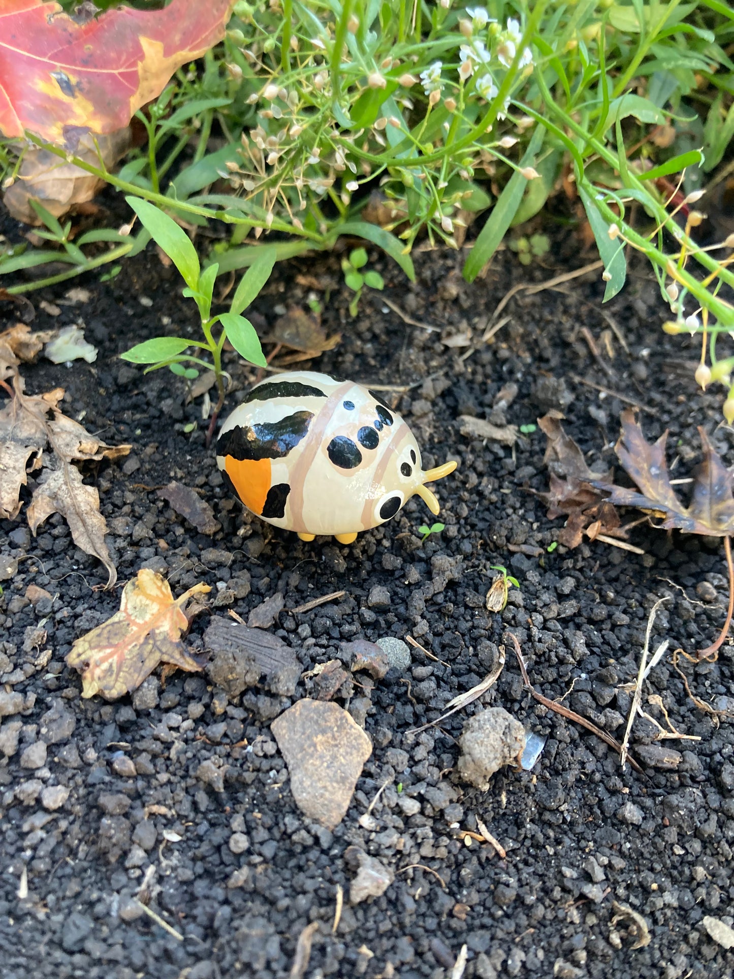 Psyllobora nigrovittata Sculpture