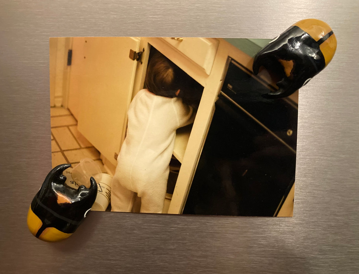 Odontolabis spectabilis Magnet