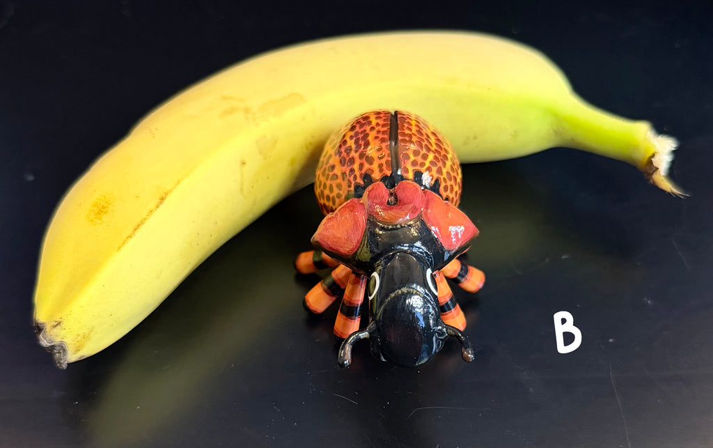 Brachycerus obesus "Obese Lily Weevil" Sculpture B-Grade