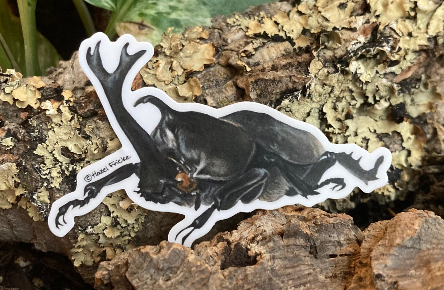 Trypoxylus dichotomus Beetle Sticker