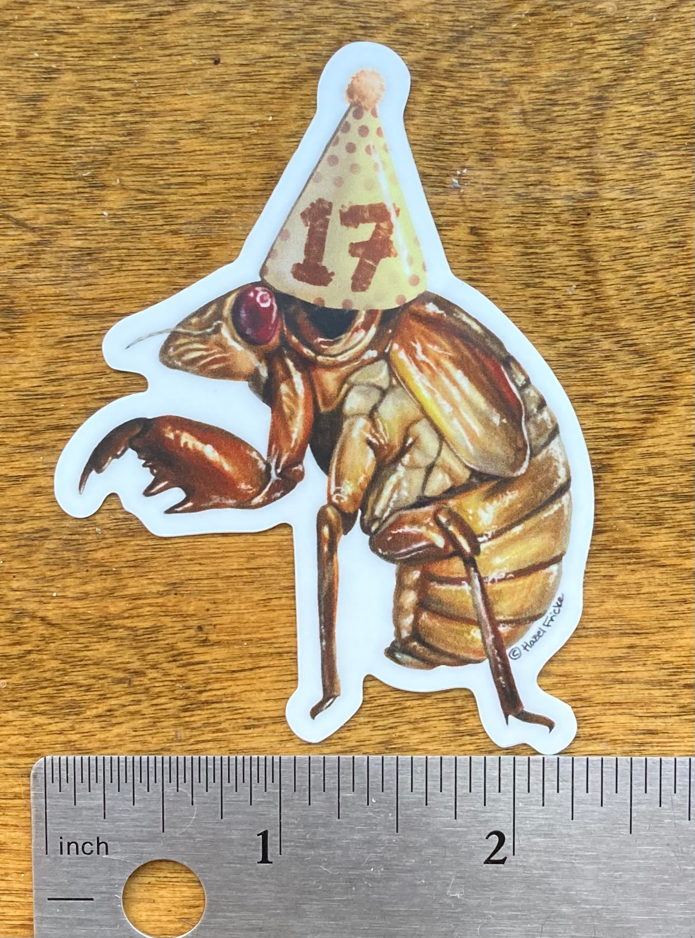 Birthday Cicada Nymph - 17 Year