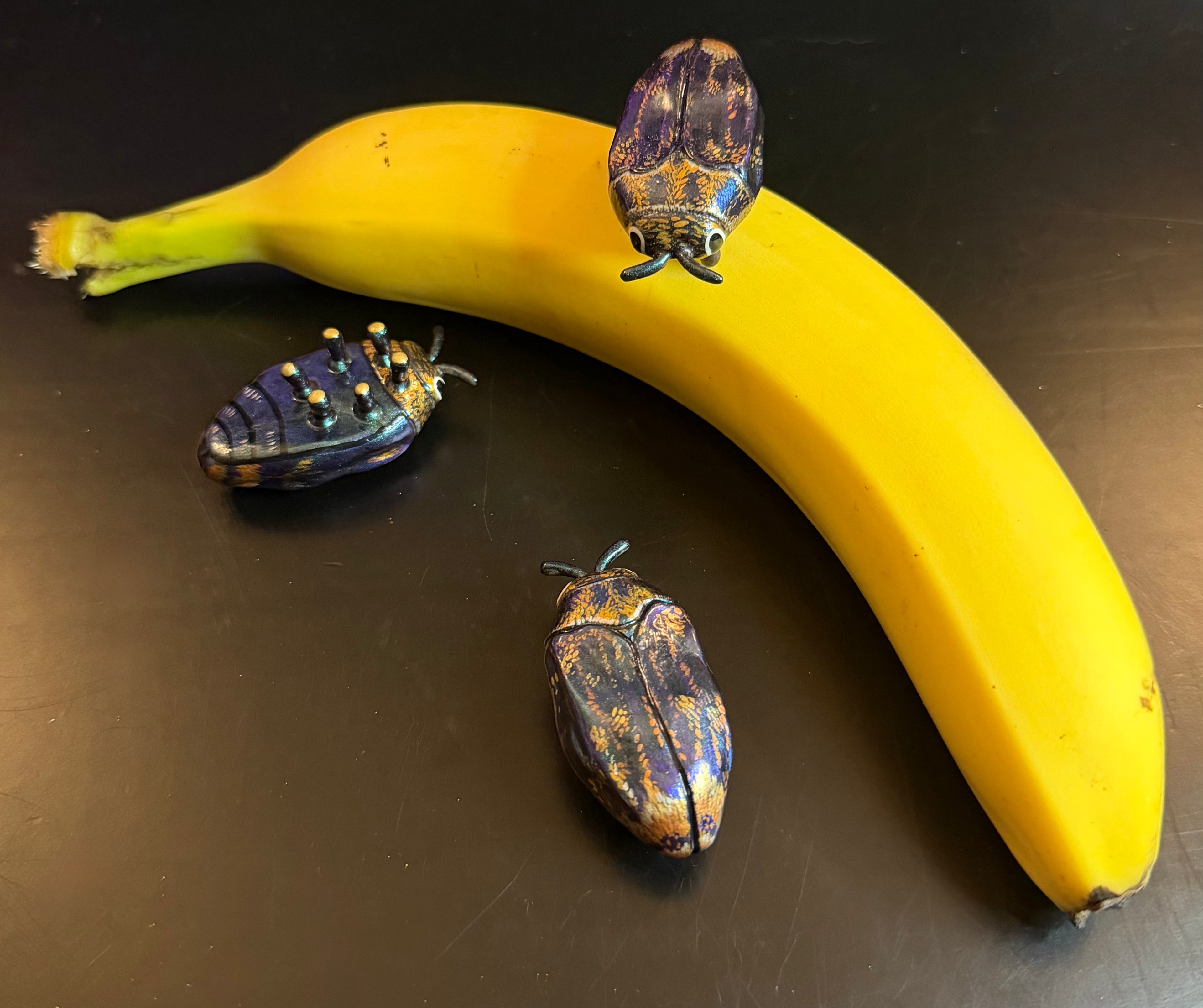Brachys aerosus Sculpture