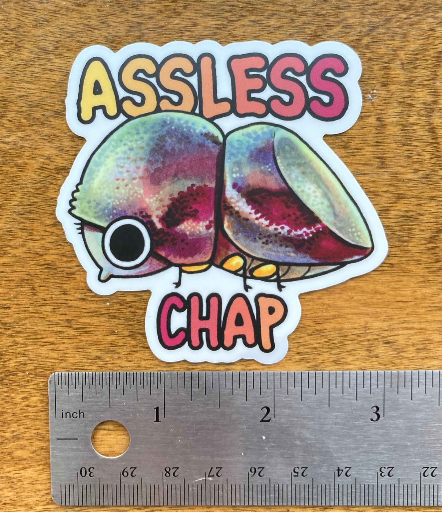 "Assless Chap" Scolytine Sticker