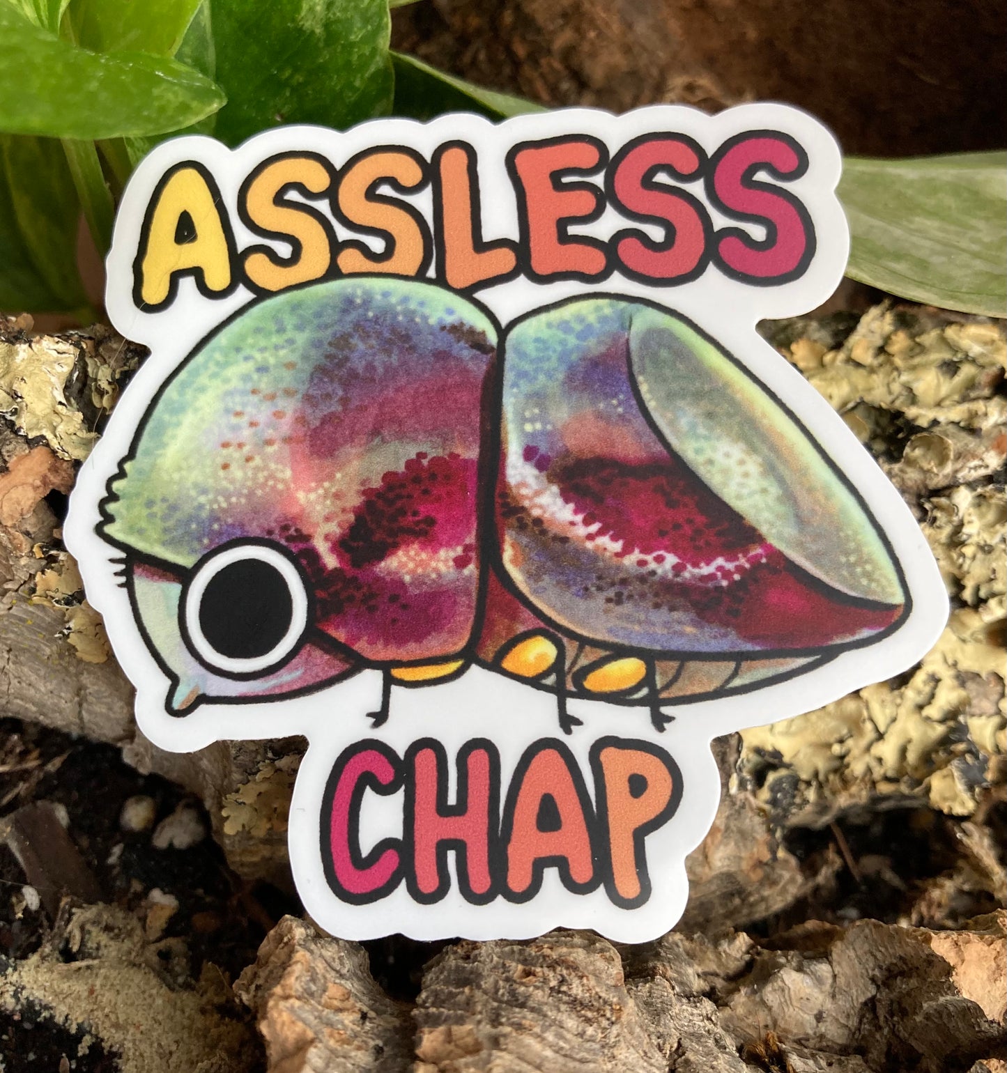 "Assless Chap" Scolytine Sticker