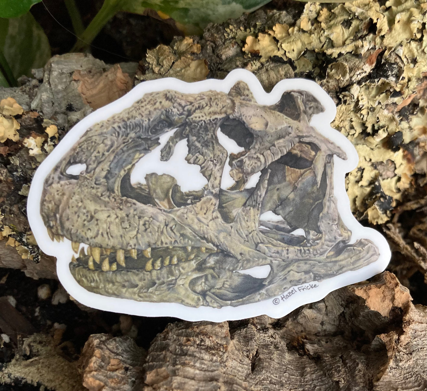 Majungasaurus Skull Sticker